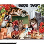 Vermont Christmas Company Garden Cats Jigsaw Puzzle 1000 Piece  B01090JYJI